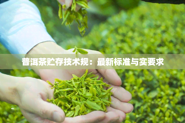 普洱茶贮存技术规：最新标准与实要求