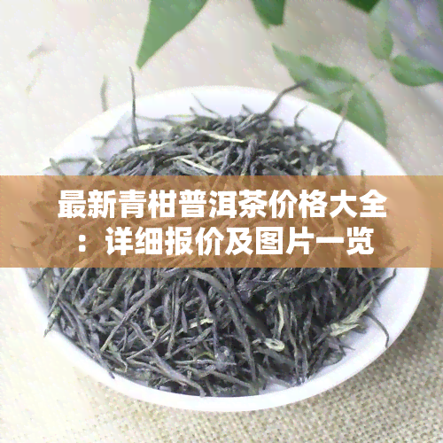 最新青柑普洱茶价格大全：详细报价及图片一览