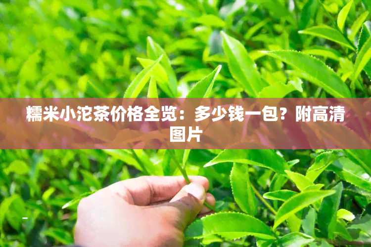 糯米小沱茶价格全览：多少钱一包？附高清图片