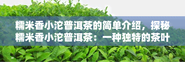 糯米香小沱普洱茶的简单介绍，探秘糯米香小沱普洱茶：一种独特的茶叶体验