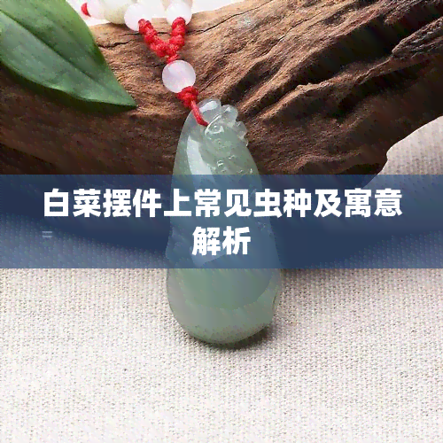 白菜摆件上常见虫种及寓意解析