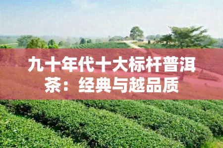 九十年代十大标杆普洱茶：经典与越品质