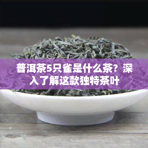 普洱茶5只雀是什么茶？深入了解这款独特茶叶