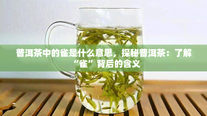 普洱茶中的雀是什么意思，探秘普洱茶：了解“雀”背后的含义