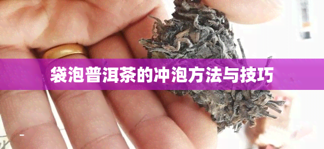 袋泡普洱茶的冲泡方法与技巧