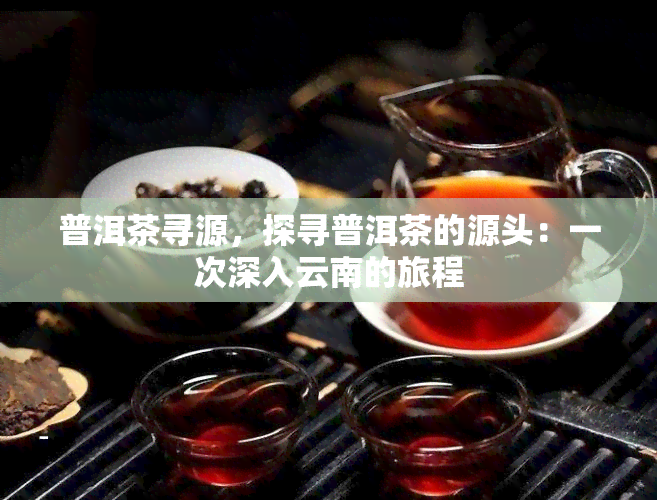 普洱茶寻源，探寻普洱茶的源头：一次深入云南的旅程