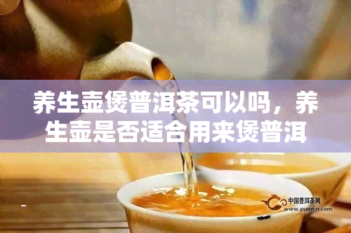 养生壶煲普洱茶可以吗，养生壶是否适合用来煲普洱茶？探讨其可行性与优缺点