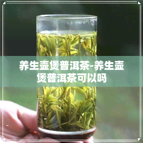 养生壶煲普洱茶-养生壶煲普洱茶可以吗