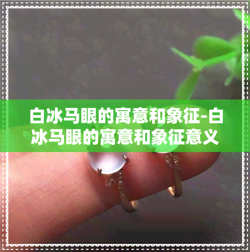 白冰马眼的寓意和象征-白冰马眼的寓意和象征意义