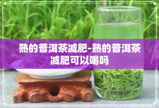 熟的普洱茶减肥-熟的普洱茶减肥可以喝吗