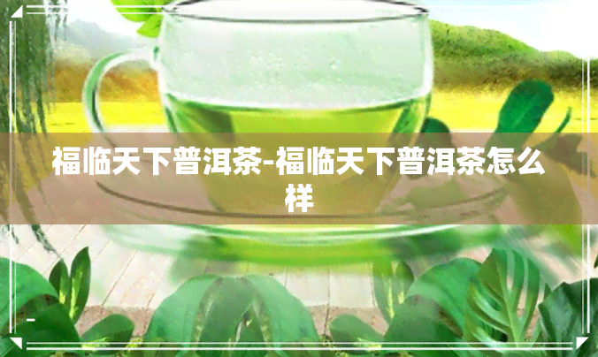 福临天下普洱茶-福临天下普洱茶怎么样