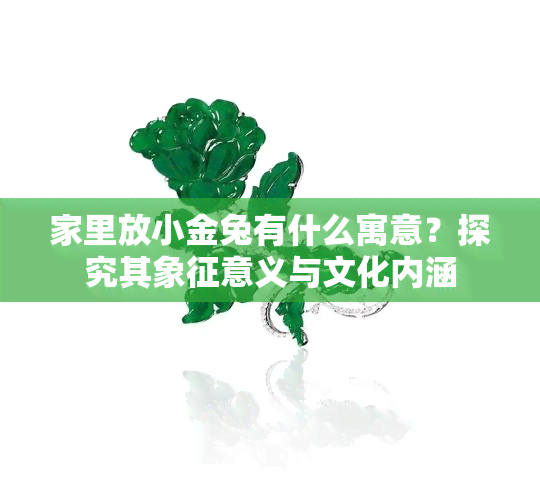 家里放小金兔有什么寓意？探究其象征意义与文化内涵