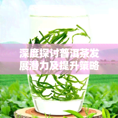 深度探讨普洱茶发展潜力及提升策略