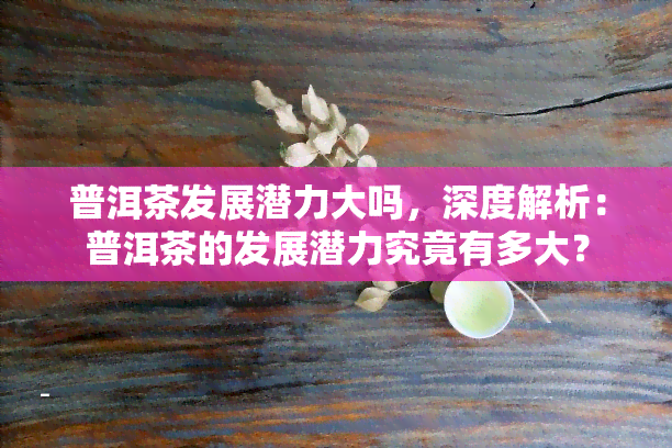 普洱茶发展潜力大吗，深度解析：普洱茶的发展潜力究竟有多大？