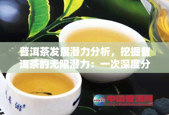 普洱茶发展潜力分析，挖掘普洱茶的无限潜力：一次深度分析