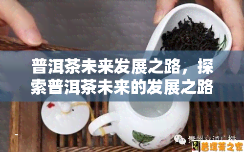 普洱茶未来发展之路，探索普洱茶未来的发展之路：机遇与挑战并存