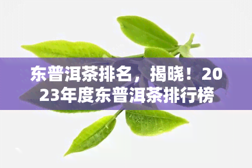 东普洱茶排名，揭晓！2023年度东普洱茶排行榜