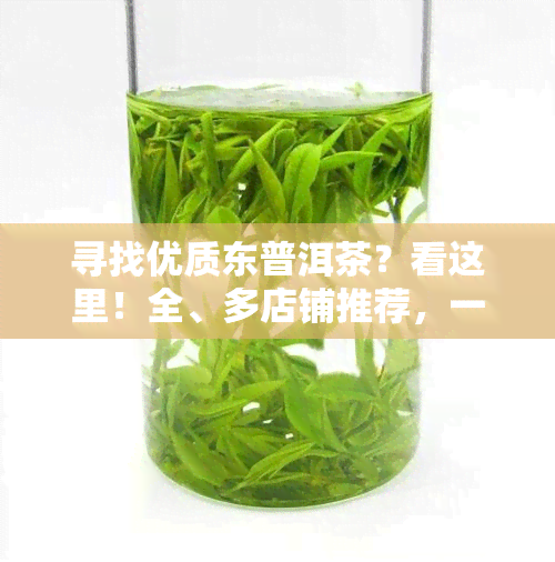 寻找优质东普洱茶？看这里！全、多店铺推荐，一网打尽！