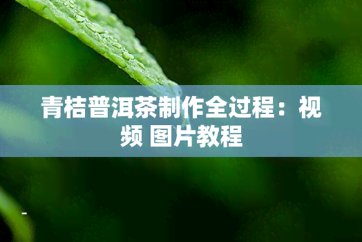 青桔普洱茶制作全过程：视频 图片教程