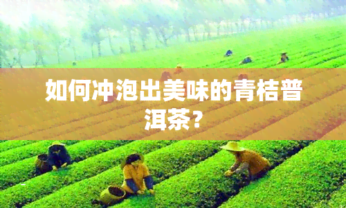 如何冲泡出美味的青桔普洱茶？