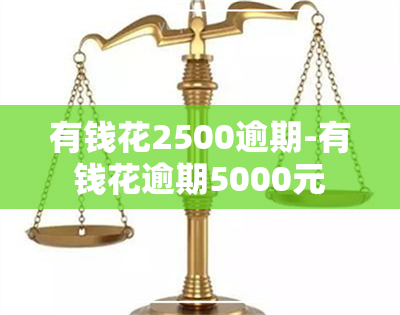 有钱花2500逾期-有钱花逾期5000元