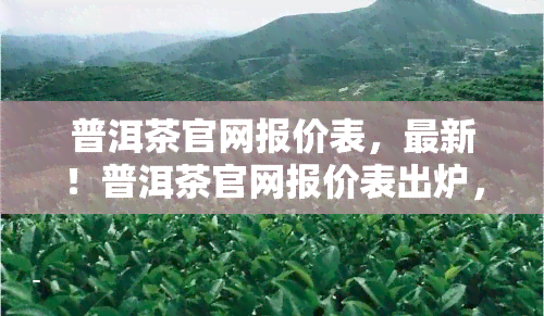 普洱茶官网报价表，最新！普洱茶官网报价表出炉，一网打尽各品种价格信息！