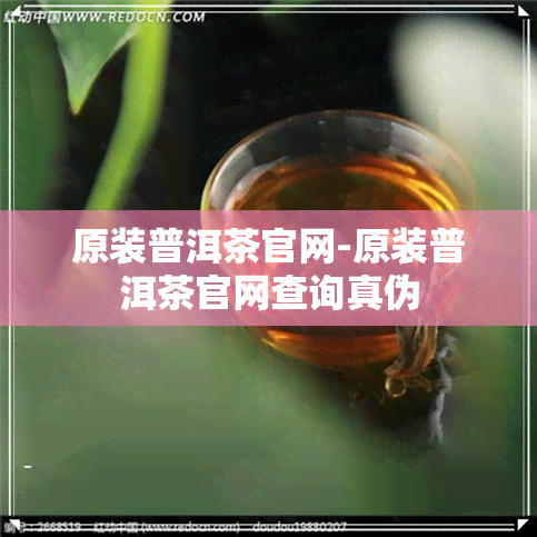 原装普洱茶官网-原装普洱茶官网查询真伪