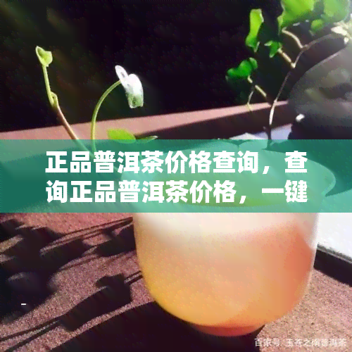 正品普洱茶价格查询，查询正品普洱茶价格，一键获取最新行情！