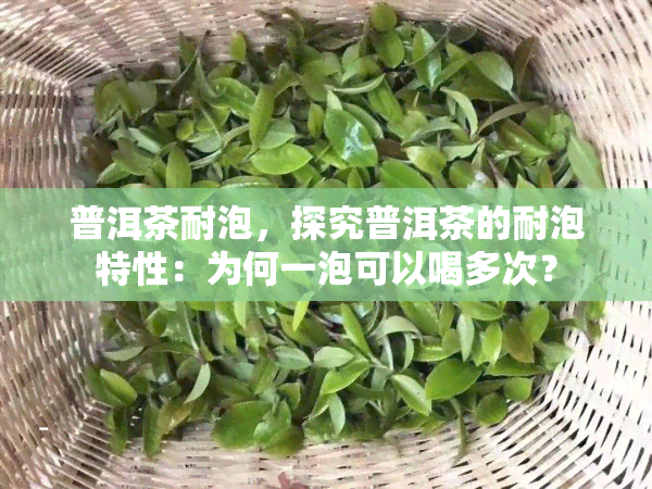 普洱茶耐泡，探究普洱茶的耐泡特性：为何一泡可以喝多次？