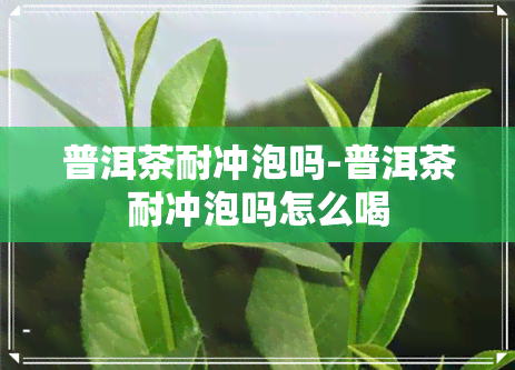 普洱茶耐冲泡吗-普洱茶耐冲泡吗怎么喝