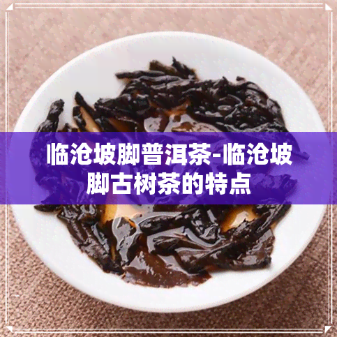 临沧坡脚普洱茶-临沧坡脚古树茶的特点