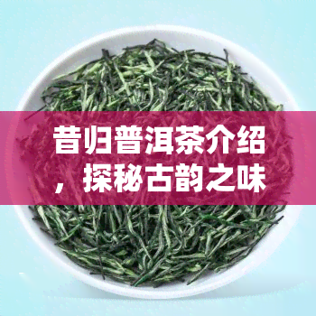 昔归普洱茶介绍，探秘古韵之味：详解昔归普洱茶的魅力与特点