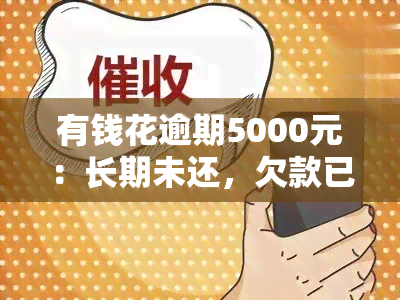 有钱花逾期5000元：长期未还，欠款已累积至4000多元