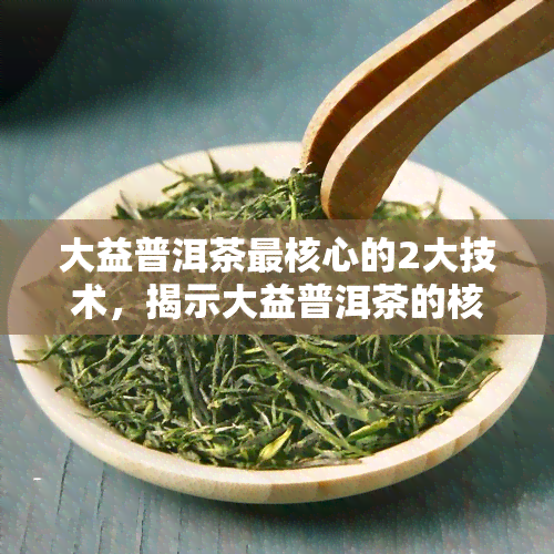 大益普洱茶最核心的2大技术，揭示大益普洱茶的核心技术：两大关键因素解析