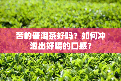 苦的普洱茶好吗？如何冲泡出好喝的口感？