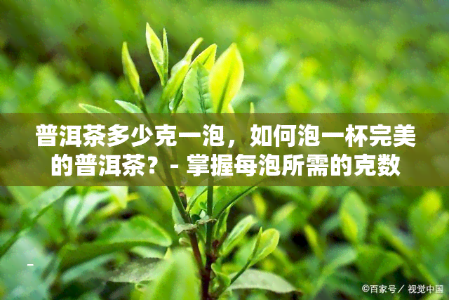 普洱茶多少克一泡，如何泡一杯完美的普洱茶？- 掌握每泡所需的克数