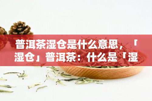 普洱茶湿仓是什么意思，「湿仓」普洱茶：什么是「湿仓味」？