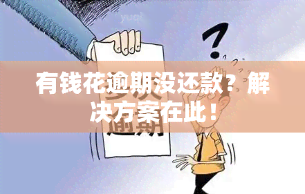 有钱花逾期没还款？解决方案在此！