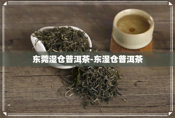 东莞湿仓普洱茶-东湿仓普洱茶