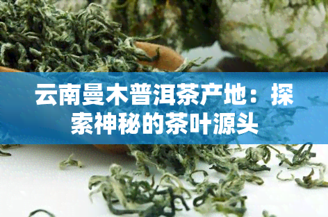 云南曼木普洱茶产地：探索神秘的茶叶源头