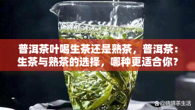 普洱茶叶喝生茶还是熟茶，普洱茶：生茶与熟茶的选择，哪种更适合你？