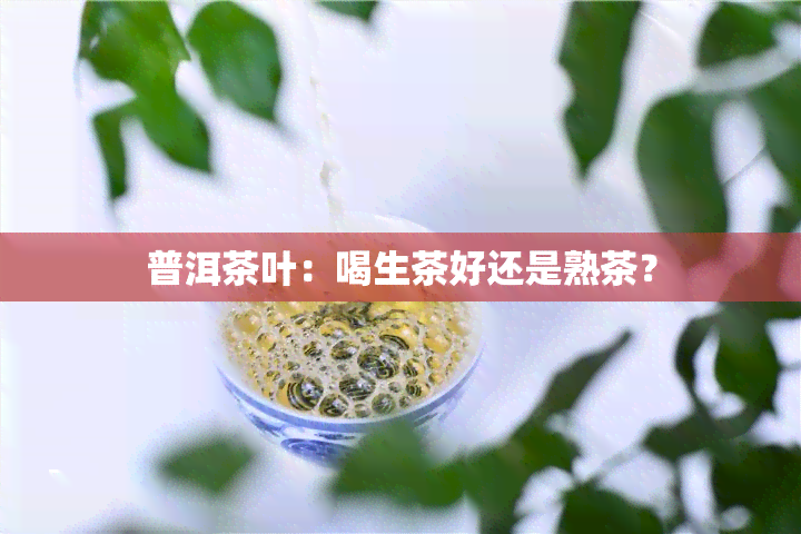 普洱茶叶：喝生茶好还是熟茶？