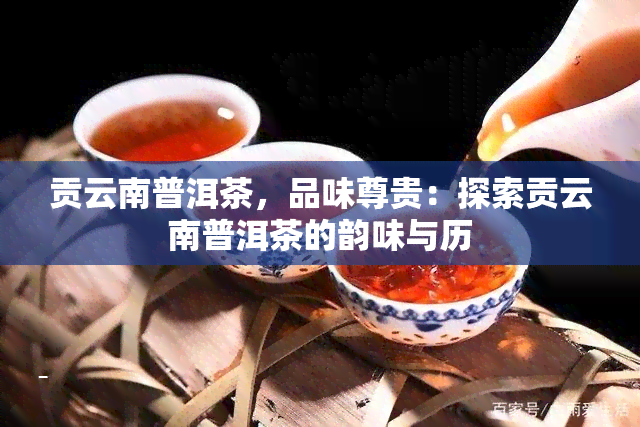 贡云南普洱茶，品味尊贵：探索贡云南普洱茶的韵味与历