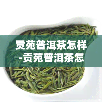 贡苑普洱茶怎样-贡苑普洱茶怎么样