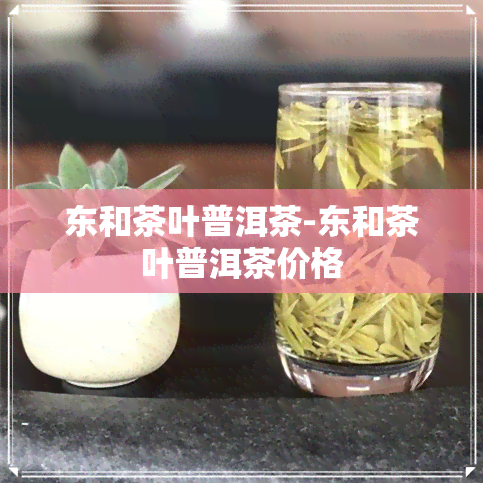 东和茶叶普洱茶-东和茶叶普洱茶价格