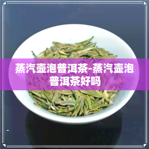 蒸汽壶泡普洱茶-蒸汽壶泡普洱茶好吗