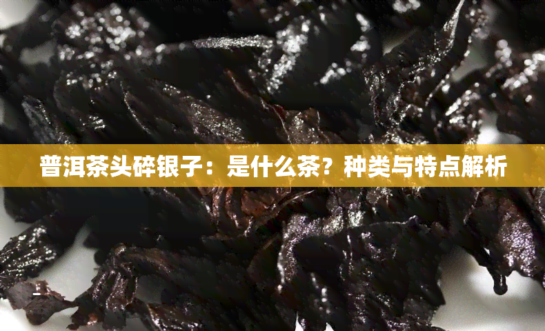 普洱茶头碎银子：是什么茶？种类与特点解析