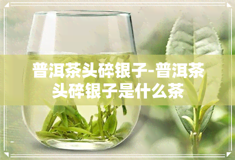 普洱茶头碎银子-普洱茶头碎银子是什么茶