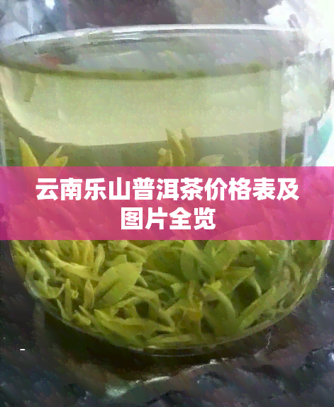 云南乐山普洱茶价格表及图片全览