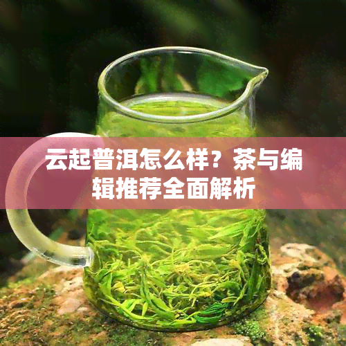 云起普洱怎么样？茶与编辑推荐全面解析